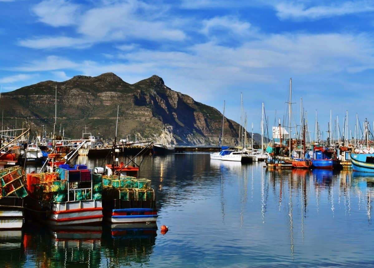 Hout Bay Harbour Market: Sustainability leads the way